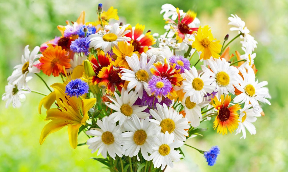 Православната църква почита днес свети Герман патриарх Константинополски Имен ден