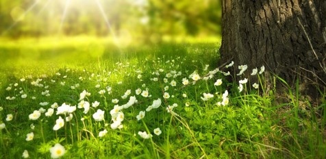 Днес времето ще бъде слънчево След обяд над планините ще