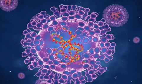 Все повече тревога по целия свят буди маймунската шарка Проф