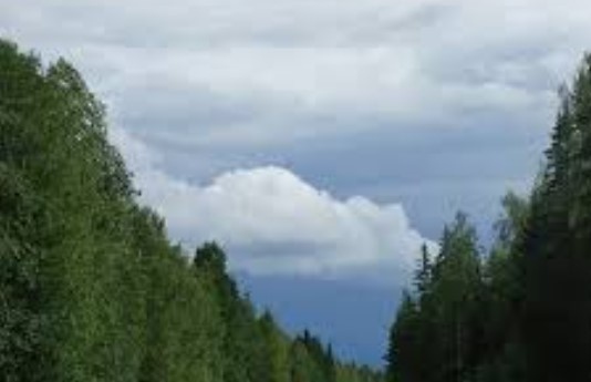 Днес ще преобладава слънчево време в следобедните часове с купеста