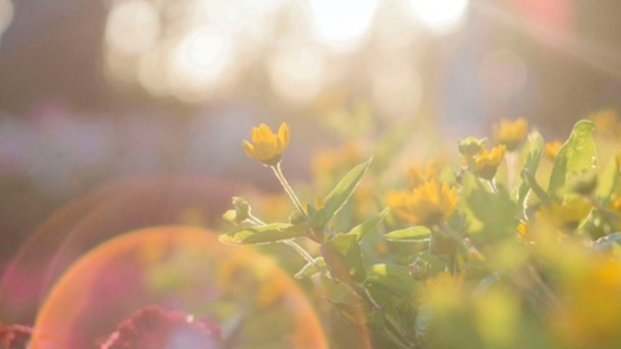 Днес ще бъде предимно слънчево с разкъсана висока облачност След