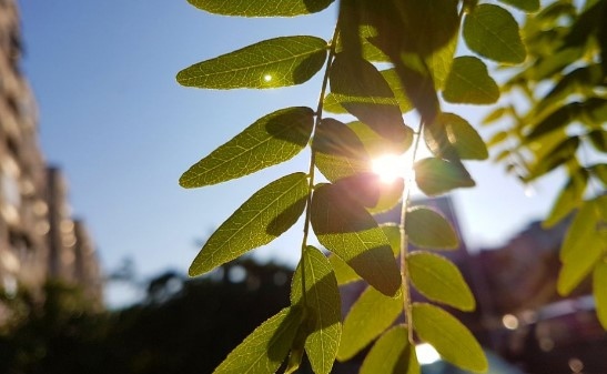 Днес преди обяд над по голямата част от страната ще преобладава