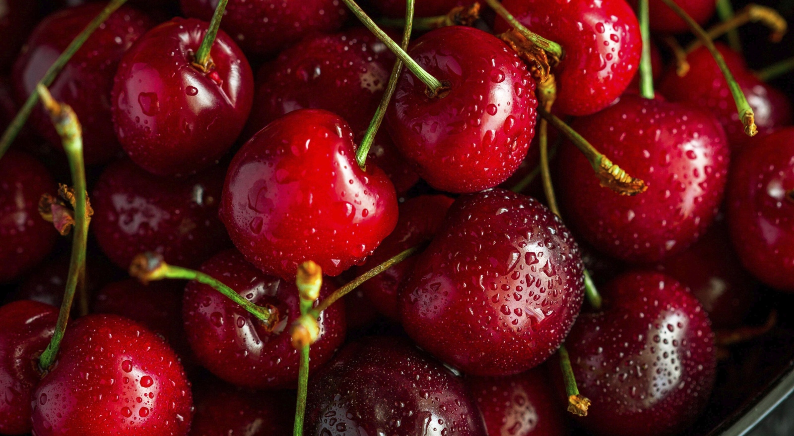 Дъждовете са унищожили повече от половината реколта от череши в