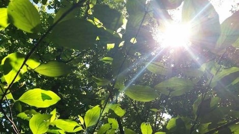 Днес ще преобладава слънчево време Ще има временни увеличения на