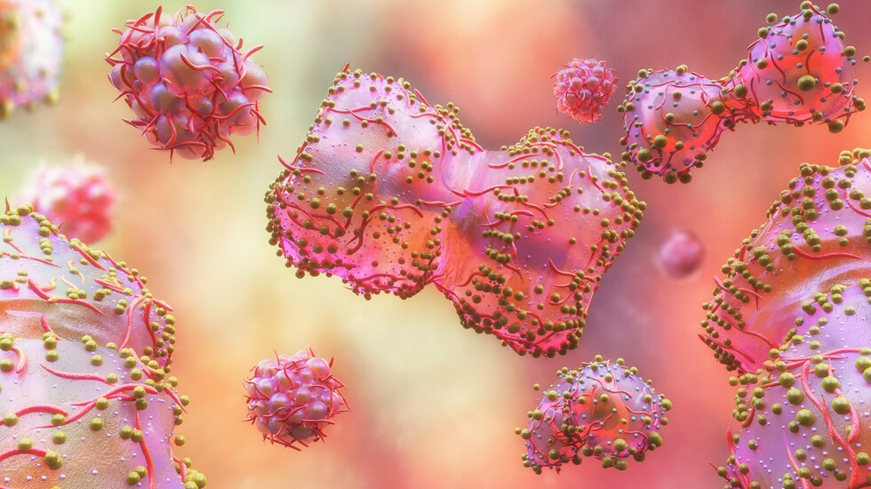 Вирусът на маймунската едра шарка мутира по бързо отколкото се очакваше