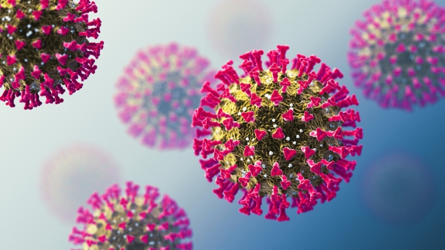 942 са новите случаи на коронавирус у нас, 14 на сто положителни проби