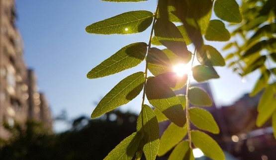Днес над по голямата част от страната ще бъде предимно слънчево