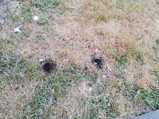 Двете цветя в памет на жертвите на катастрофата на бул