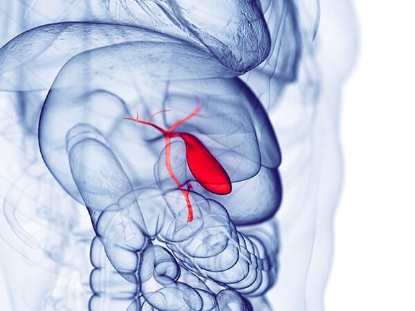 Чернодробните клетки имат способността да се регенерират постоянно А възрастта