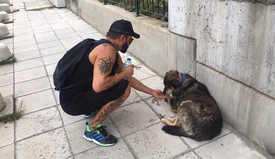 В горещите и сухи летни дни и птиците са жадни