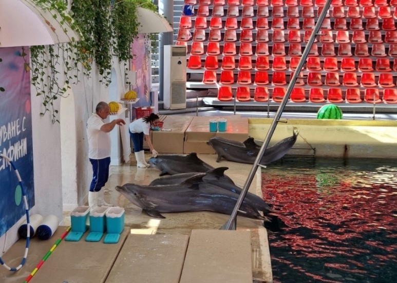 Кметът на Варна Иван Портних спира разширението на Делфинариума в