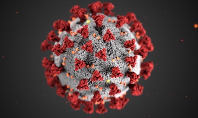 Новите случаи на коронавирус са 2987 сочат актуализираните данни на