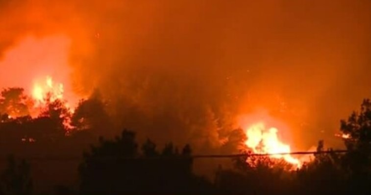 Продължават екстремните жеги в Европа които разгарят и горски пожари