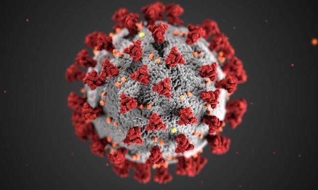 1944 са новите случаи на коронавирус у нас, положителни са 24,8% от пробите