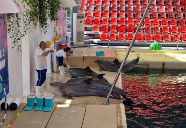 Община Варна спира разширението на Делфинариум Варна като вече година