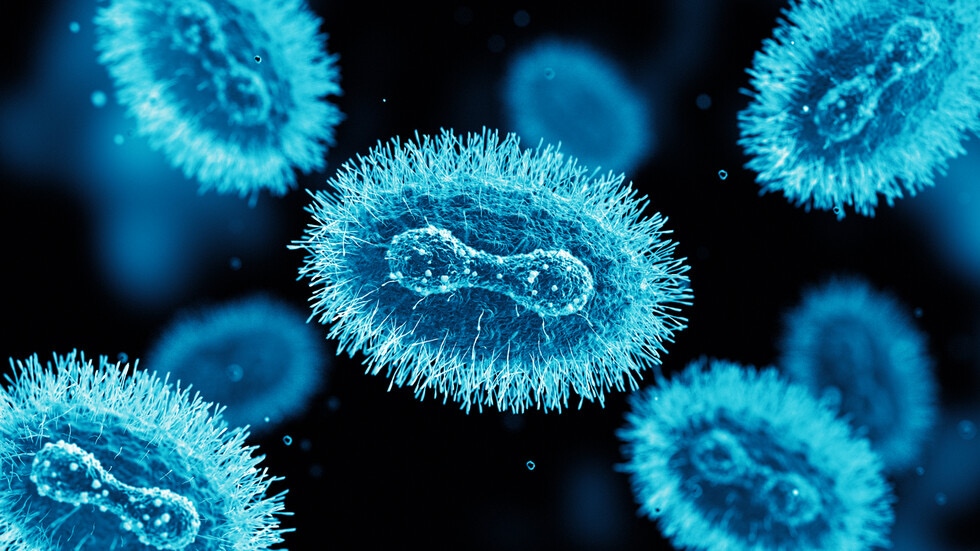 Властите на Ню Йорк обявиха извънредна епидемиологична ситуация заради разпространението