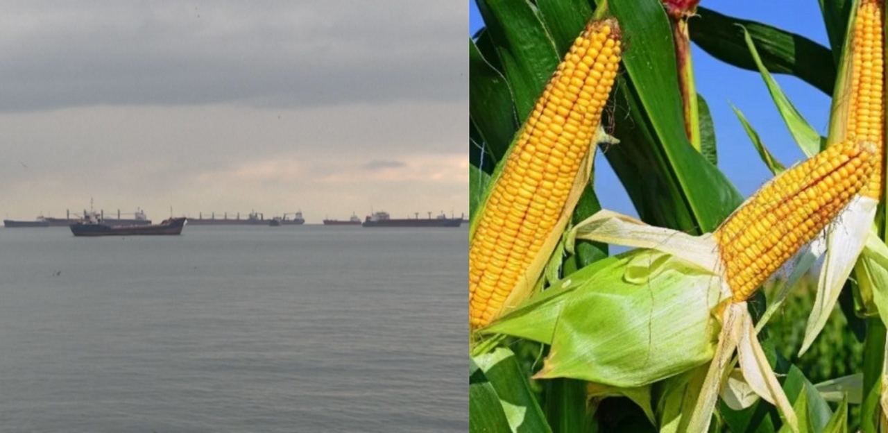 Първият кораб натоварен с украинско зърно е потеглил от пристанището