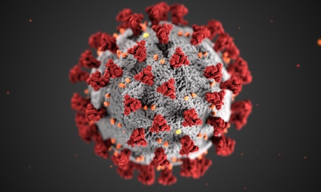 1951 са новите случаи на коронавирус у нас за последните