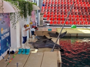 Община Варна продължава да мълчи за разширението на Делфинариум Варна