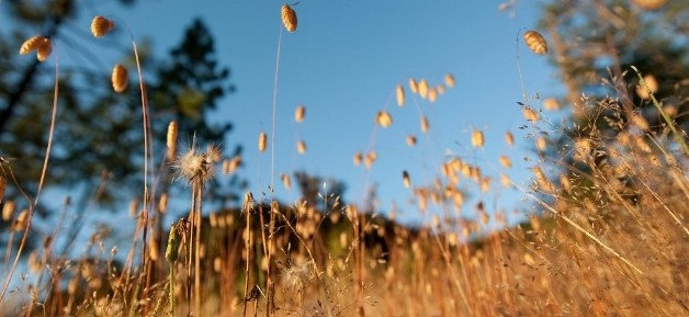 Днес ще бъде предимно слънчево Около и след обяд над