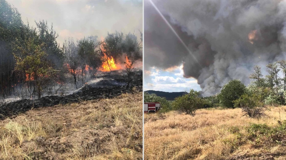 До късно снощи продължи гасенето на пожара в горския масив