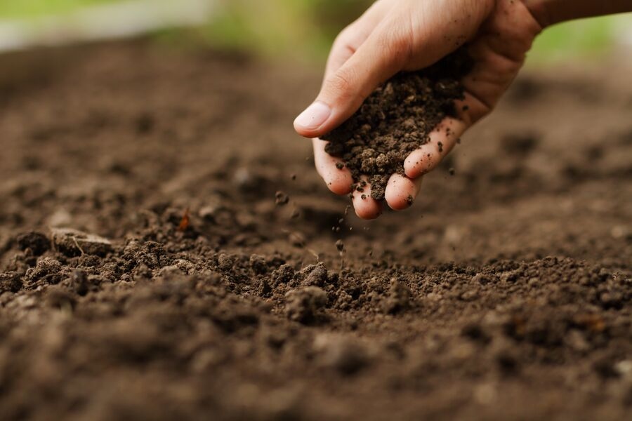 Почвата е основен естествен ресурс който оказва влияние върху много