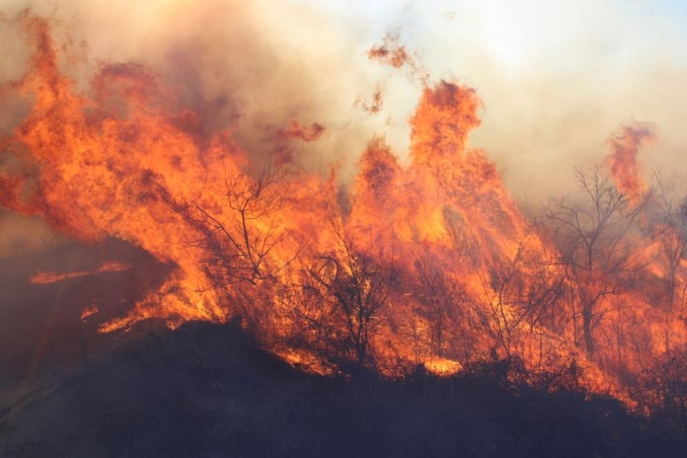 Три пожара горят в Бургаско към момента съобщи говорителят на