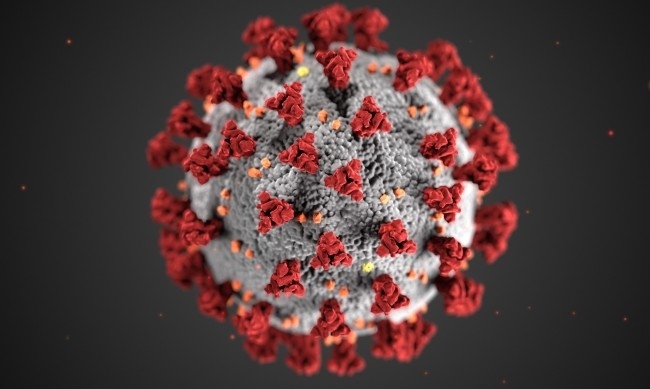 1429 нови случая на коронавирус, положителни са близо 22% от тестваните