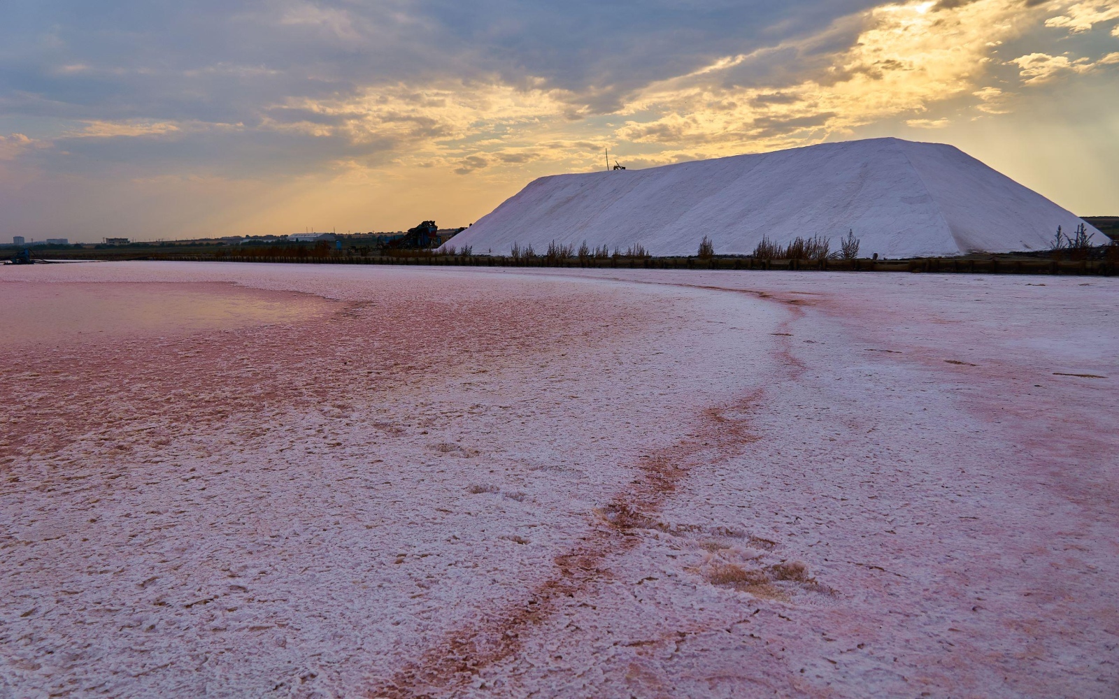 В границите на Бургас в преддверието на Черно море се
