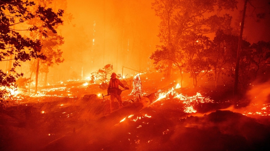 Локализиран е големият пожар в Хасковско, огънят е изпепелил 5000 дка