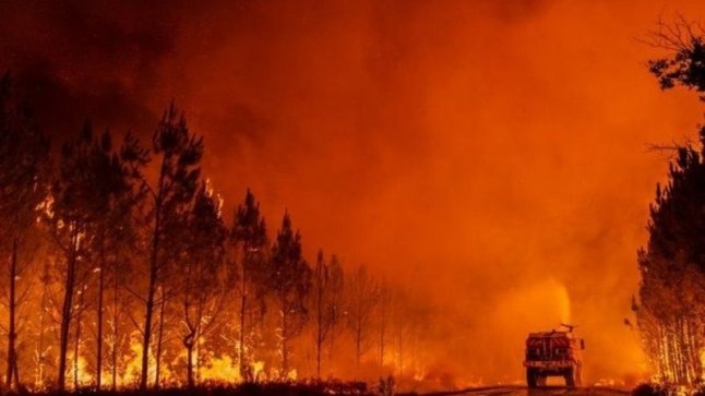 Голям пожар гори до военния полигон край Казанлък По последна