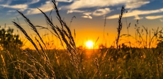 Днес преди обяд над по голямата част от страната ще бъде