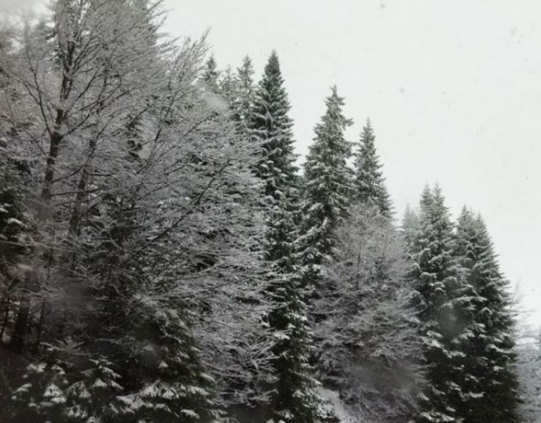 Заради необичайно ниските температури сутрин първите снежинки ще прехвръкнат още