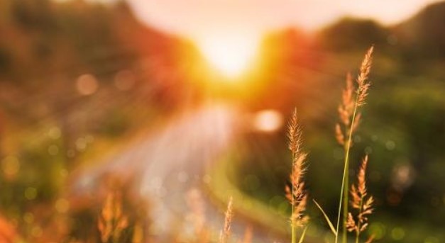 Днес преди обяд ще преобладава слънчево време След обяд ще