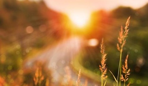 Днес ще бъде предимно слънчево Ще духа слаб вятър от