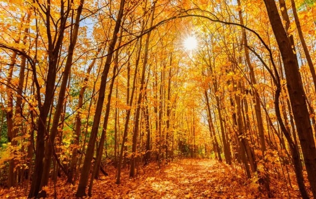 В 04 04 ч тази сутрин настъпи есенното равноденствие и започна астрономическата