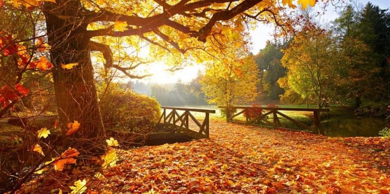 Днес ще бъде слънчево Ще духа слаб вятър от запад