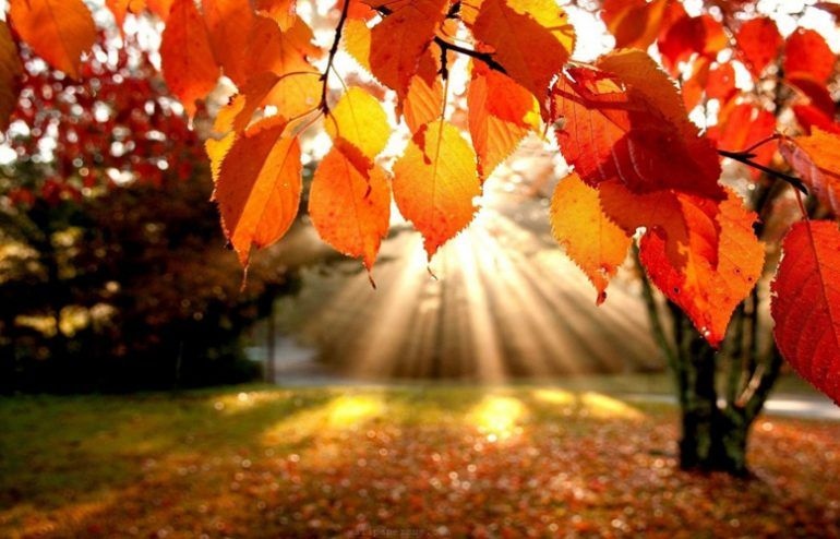 Днес ще бъде предимно слънчево предаде БНТ Следобедни превалявания ще