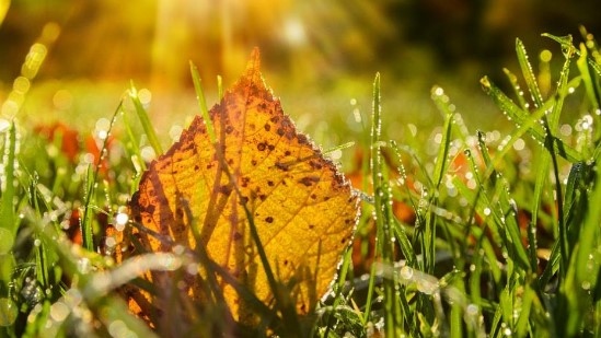 Днес ще бъде предимно слънчево В сутрешните часове на отделни