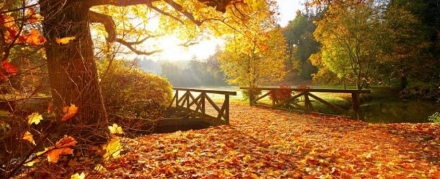 Днес преди обяд над по голямата част от страната ще