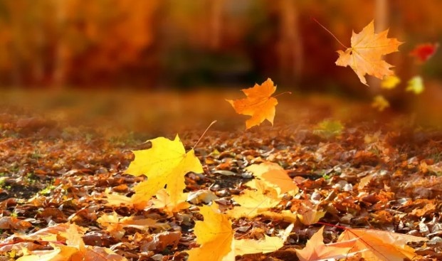 Днес ще е ветровито Ще духа умерен и силен запад северозападен