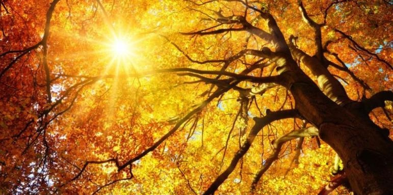 През следващите дни до края на тази и в началото