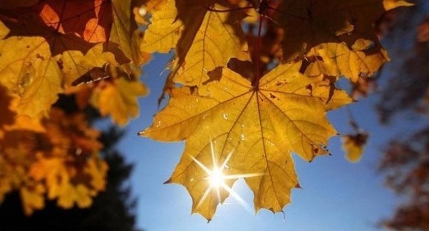 Днес ще бъде предимно слънчево с разкъсана висока облачност Преди