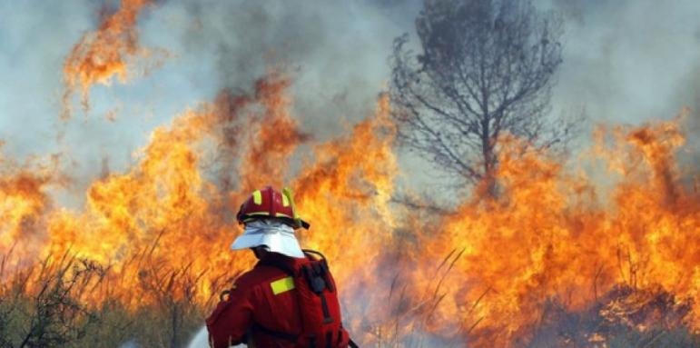 Над 100 души доброволци от Аврен и Варна както и  екипи