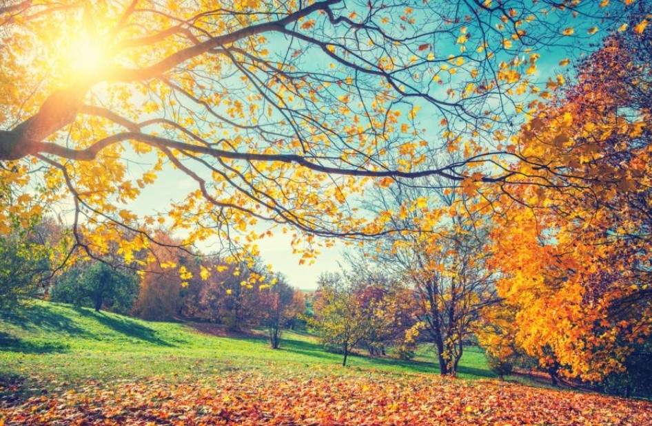 В сутрешните часове на много места видимостта ще бъде намалена