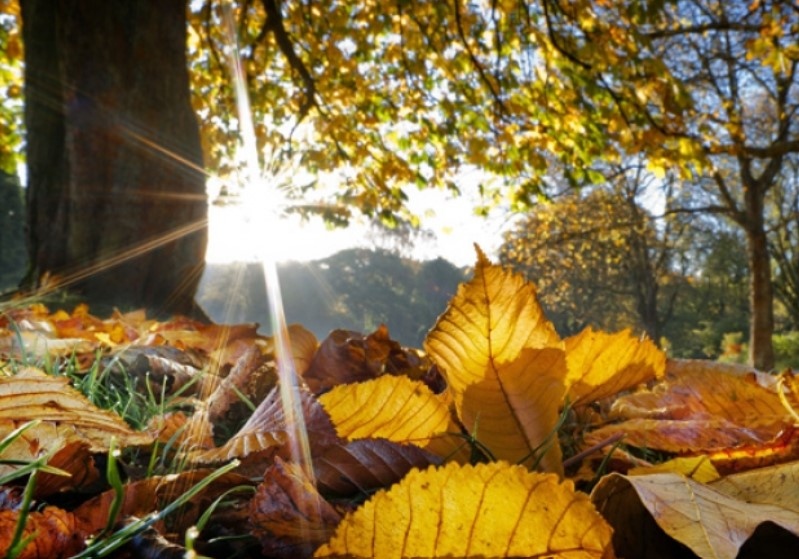Днес ще духа до умерен вятърът от запад северозапад в Дунавската