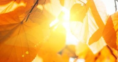 Днес времето ще бъде предимно слънчево Ще духа слаб до