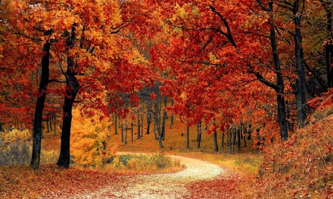 През нощта над по голямата част от страната ще бъде безоблачно