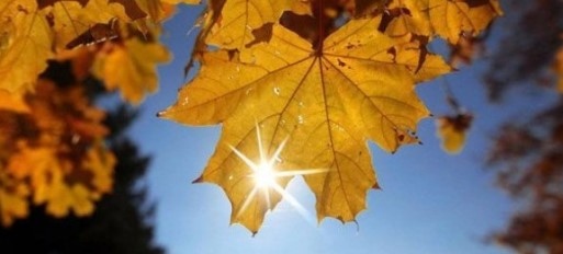 Днес ще е предимно слънчево с временни увеличения на облачността