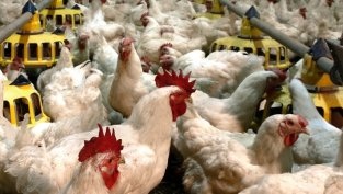 Огромни промени очакват   Градус АД Това съобщиха от компанията в